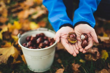 https://www.vegantimes.gr/media/041jgzns/markus-spiske-a1gddedhlku-unsplash.jpg?height=310