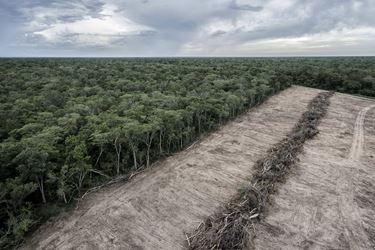 Αποψιλωμένο δάσος του Αμαζονίου στη Βολιβία