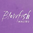 Blowfish Malibu logo