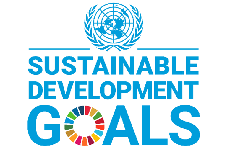 Σήμα των Ηνωμένων Εθνών για τους στόχους βιώσιμης ανάπτυξης