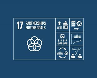 SDG17 Partnerships for the Goals