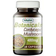 Cordyceps Mushroom