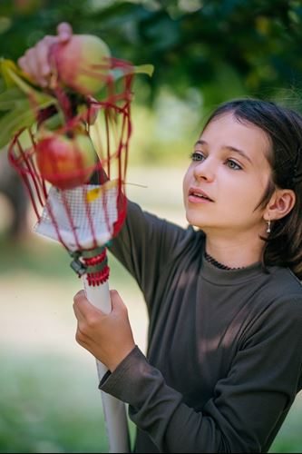Little girl holding fruits