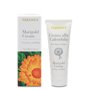 Marigold Cream