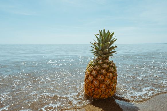 pineapple by the beach