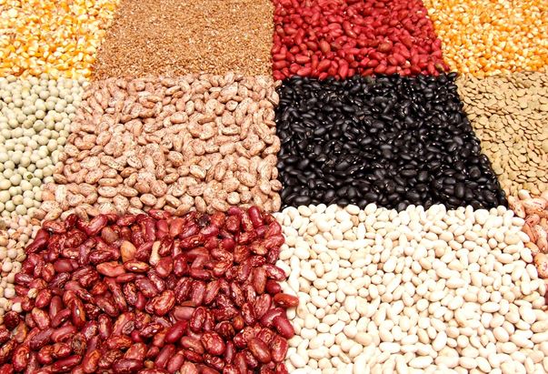 Legumes