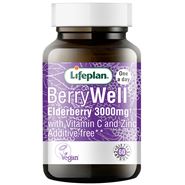 BerryWell Elderberry Capsules