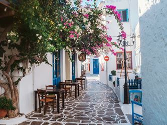 Pink flower tree over a restaurant