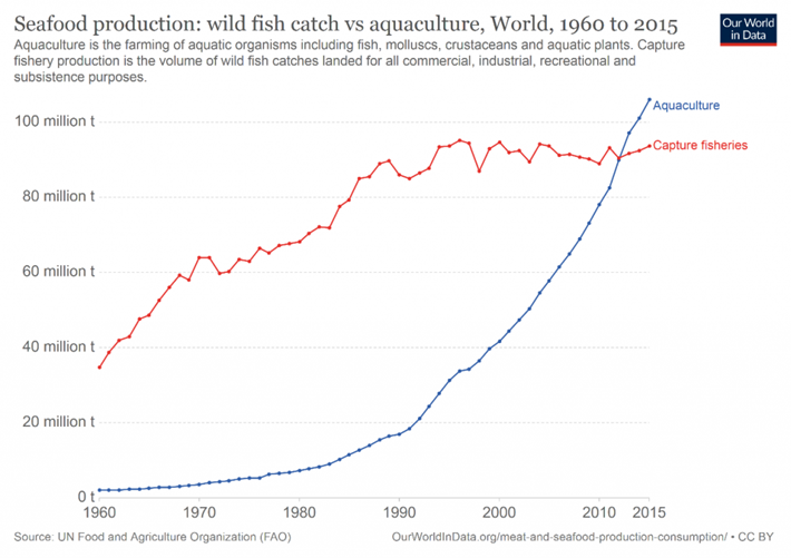 Πίνακας που απαεικονίζει την παραγωγή θαλασσινών φαγητών από το 1960 - 2015