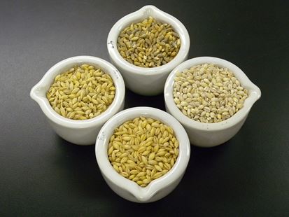 https://www.vegantimes.gr/media/w5jh14ox/6335282415_7e1f1b7268_c.jpg?height=310