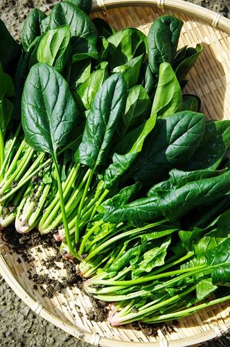 spinach
